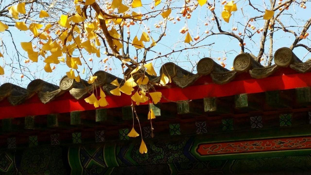 714路公交車(chē)最新路線(xiàn)全面解析與體驗之旅