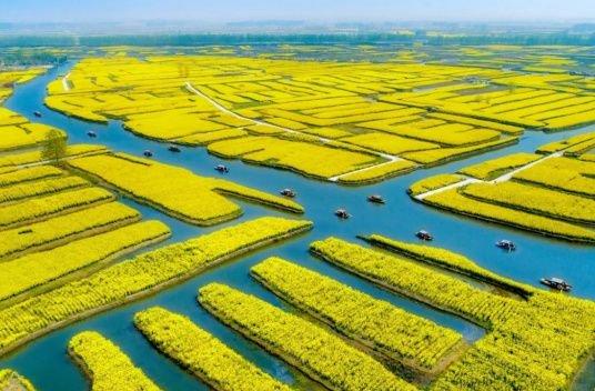 農夫綜合最新動(dòng)態(tài)深度解析與我的觀(guān)點(diǎn)分享