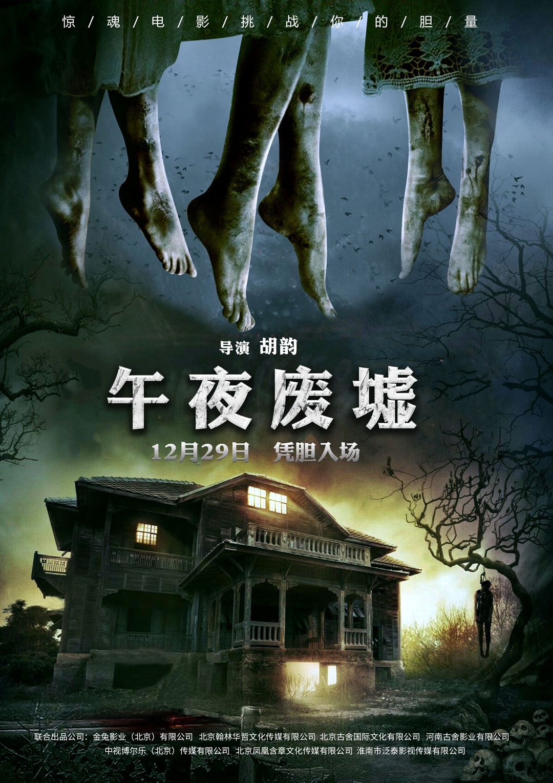 午夜熱門(mén)電影探索，魅力時(shí)刻的探險之旅