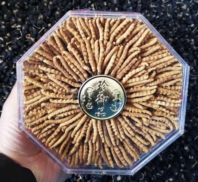 謝干最新價(jià)格及知識價(jià)值展現自信閃耀的魅力