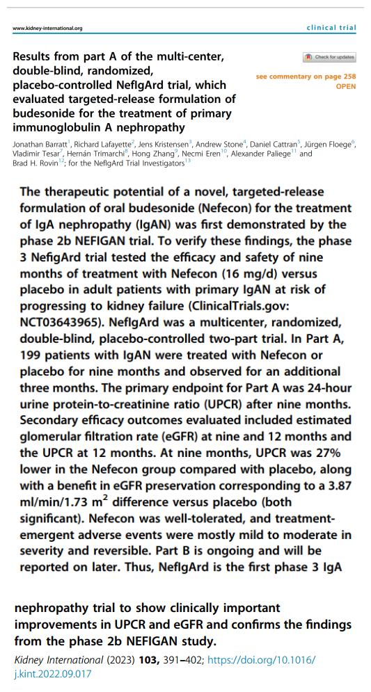 IGA腎病最新突破，醫學(xué)奇跡在小店中綻放的獨特魅力