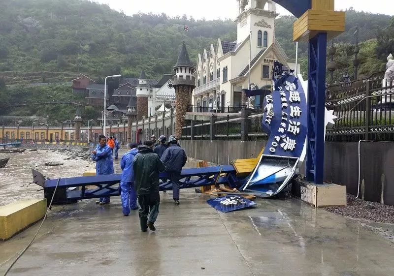 金鄉最新事件揭秘