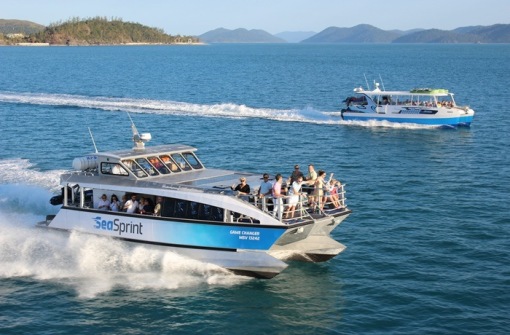 時(shí)代背景下的璀璨星辰，最新號號天堂綜述