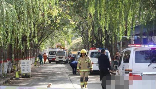 安陽(yáng)最新事件，溫馨日常與不期而遇的友情之旅