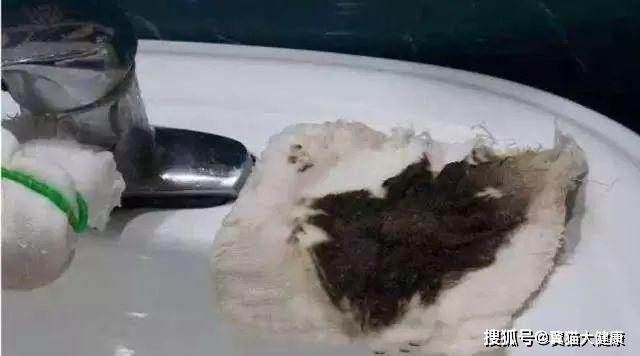 揭秘水污染真相，小杰的河流探索之旅——溫馨河流的秘密揭秘視頻