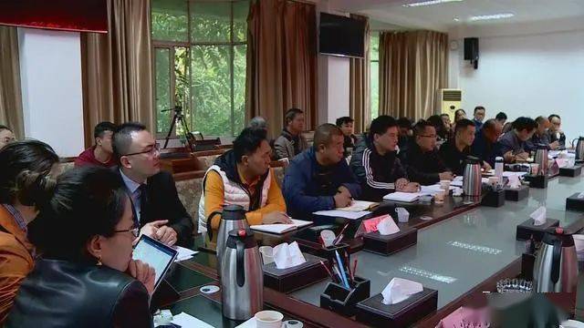 德昌最新新聞，擁抱自然，心靈寧靜之旅啟程