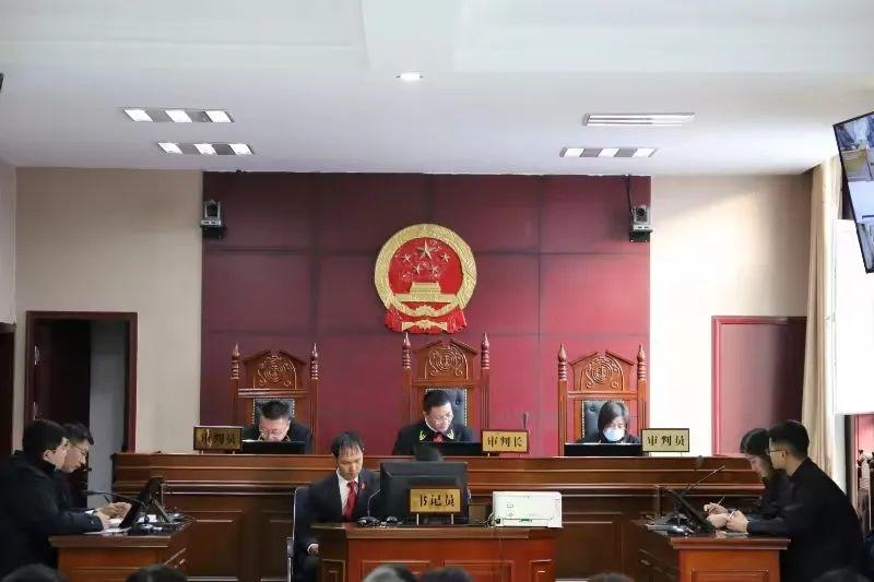 偏關(guān)最新案件深度解析，揭示真相，關(guān)注社會(huì )公正與公平