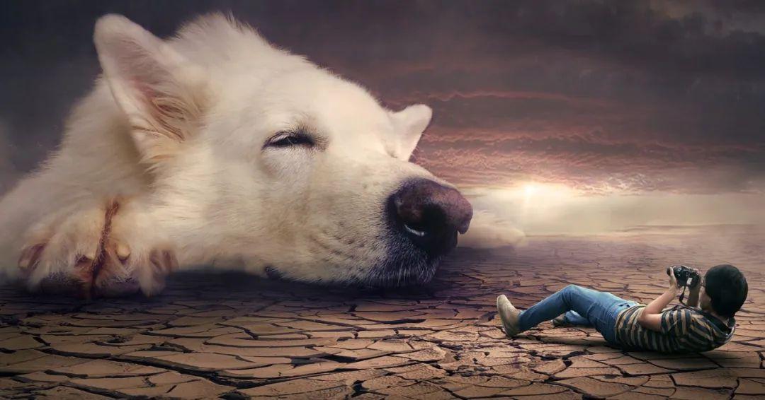 夢(mèng)境最新研究揭秘，探索人類(lèi)夢(mèng)境的奧秘