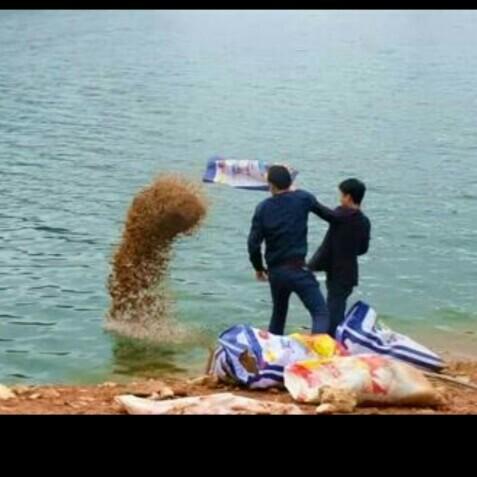 科學(xué)釣魚(yú)最新探索，學(xué)習與實(shí)踐的成就感之旅