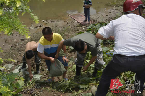 LED光源 第77頁(yè)