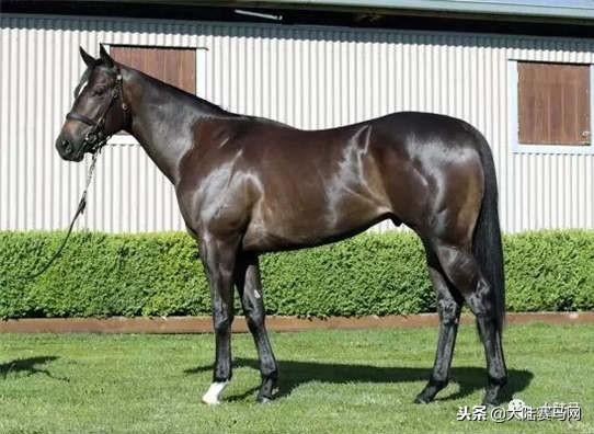 卡拉卡最新指南，任務(wù)完成與技能學(xué)習步驟攻略