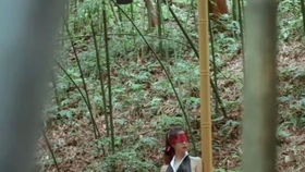 LED光源 第65頁(yè)