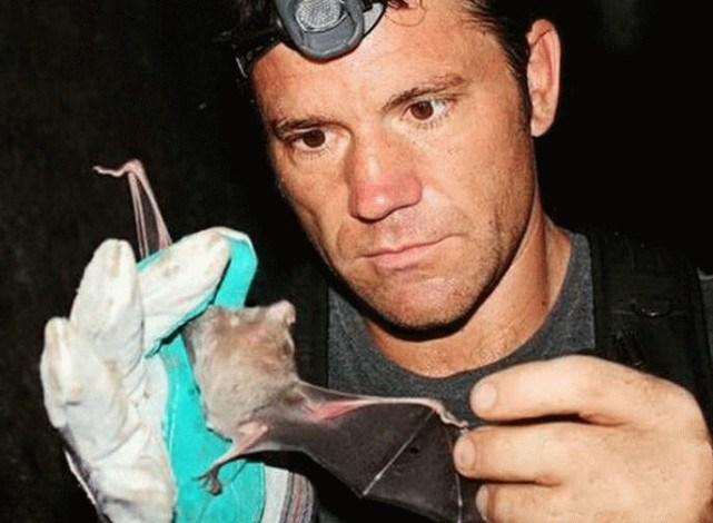 蝙蝠最新電影，自信與成長(cháng)的翅膀，勵志翱翔天空之旅