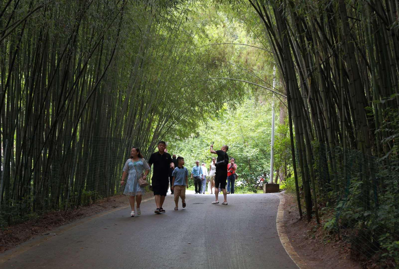 全家最新優(yōu)惠攻略，一步步教你享受最大優(yōu)惠折扣！