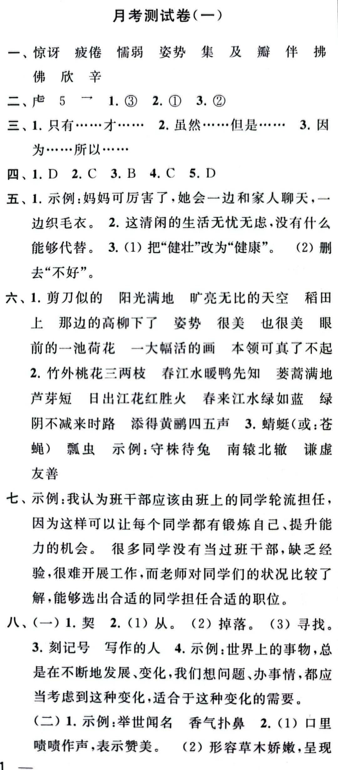 最新月考與大自然療愈之旅，尋找內心平靜的奇妙探險