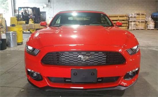 威路德最新款，小巷中的驚喜發(fā)現