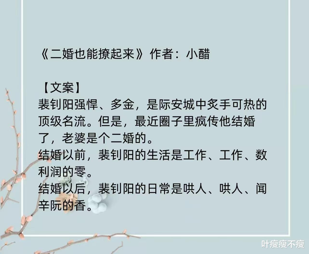 最新二婚小說(shuō)，小巷深處的浪漫故事