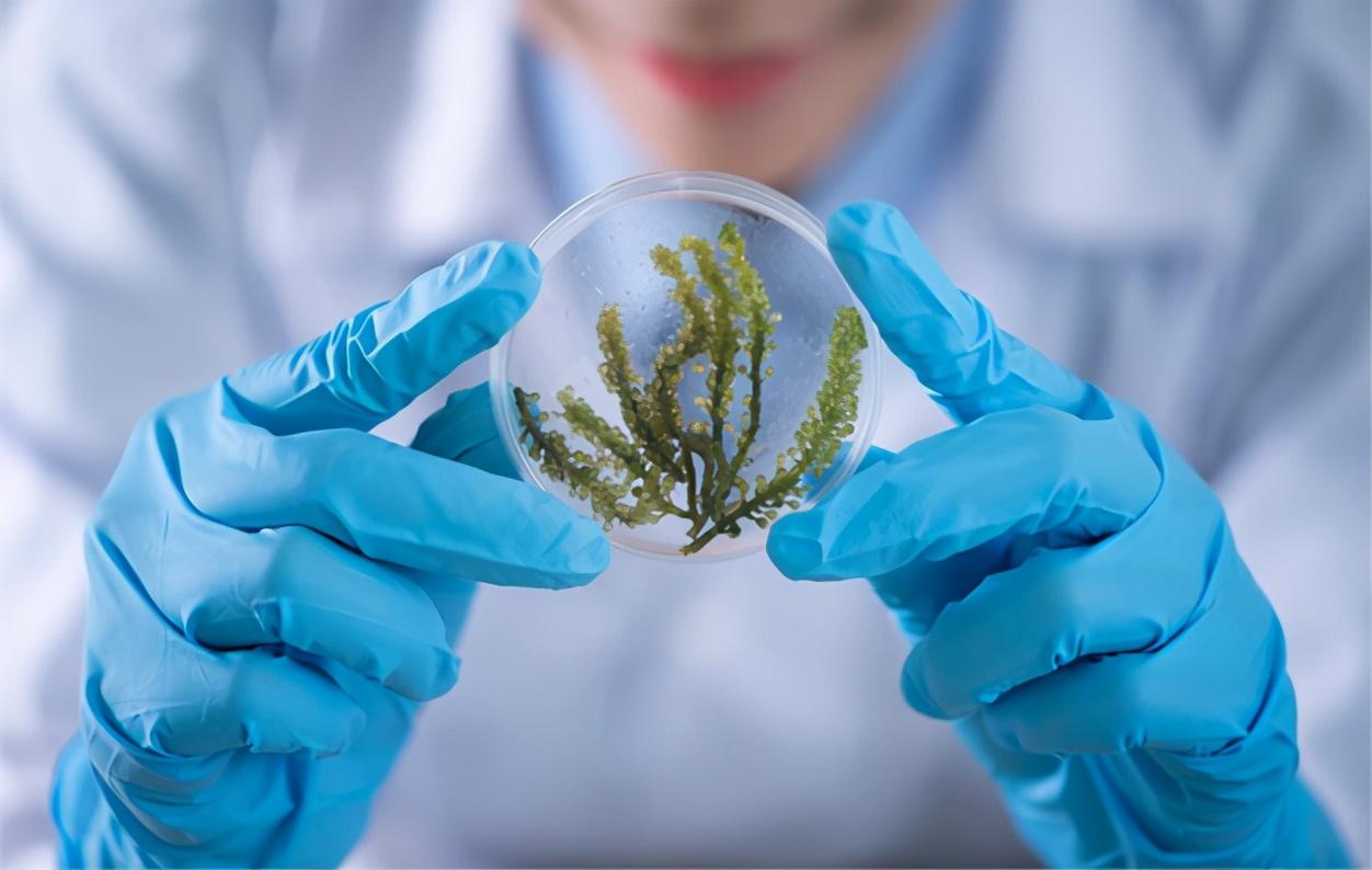 最新病毒繪畫(huà)作品欣賞