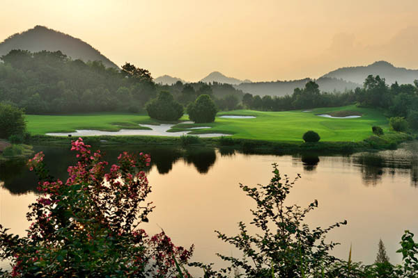 風(fēng)水最新動(dòng)態(tài)，日常小事中的風(fēng)水奧秘與溫馨解讀