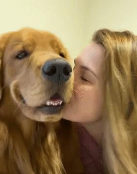 時(shí)代潮流還是陷阱？深度解讀最新趨勢背后的真相