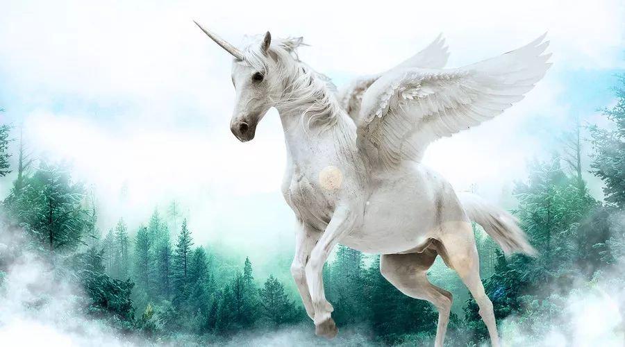 中國最新獨角獸，自信與成就感的源泉